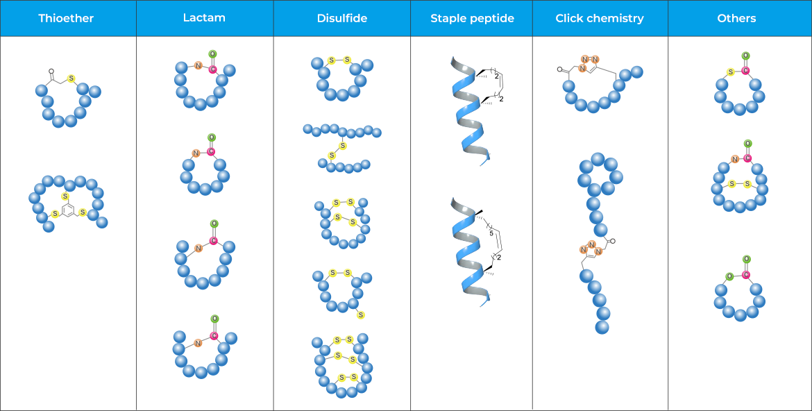 Cyclic Peptide Synthesis Service