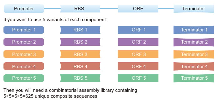 Gene Construction Kit Activation Code