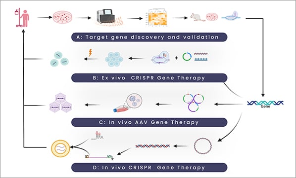 Gene Therapy: A Revolution in Medicine