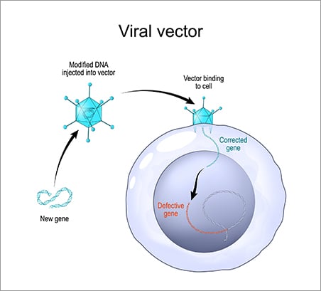 Gene Therapy: A Revolution in Medicine