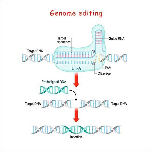 Gene Therapy: A Revolution in Medicine