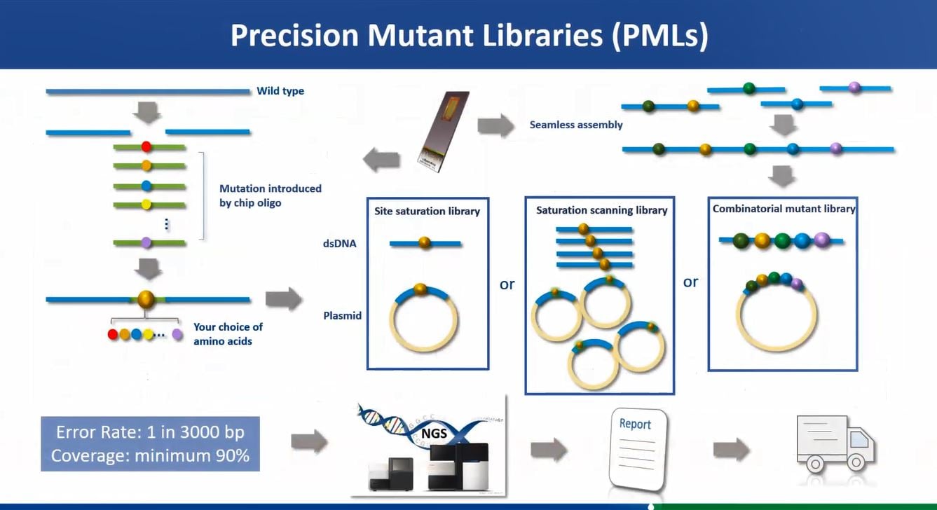 The Precision Mutant Libraries Service At GenScript | GenScript