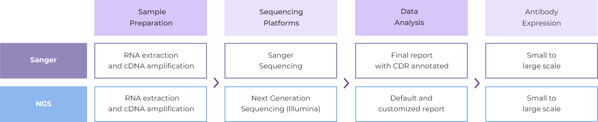 Antibody sequencing service | GenScript