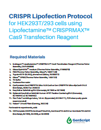 CRISPR Knock-in Comprehensive Guide